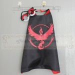 Team Valor cape with mask